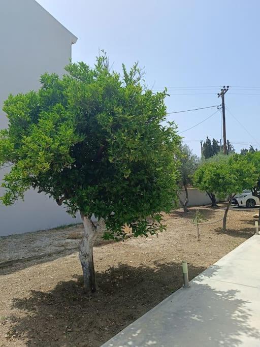 Lida's House Apartment Loutraki (Corinthia)